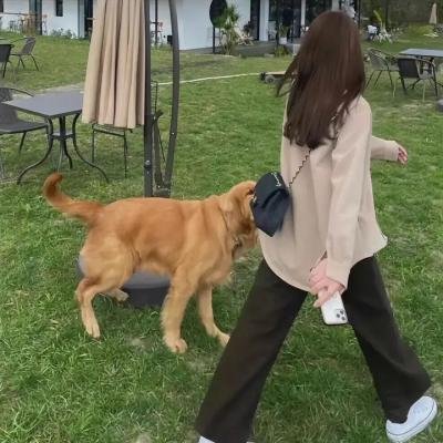 外滩探秘第二季封面