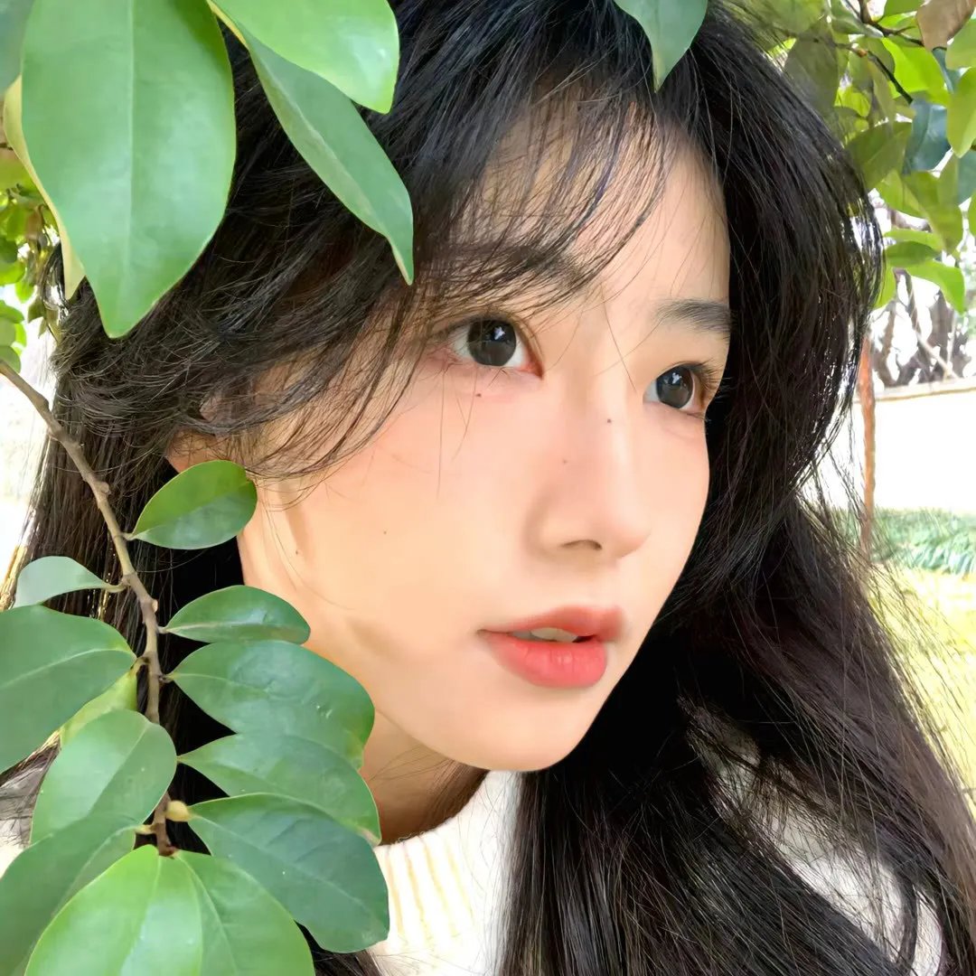 诱惑游戏第二季封面